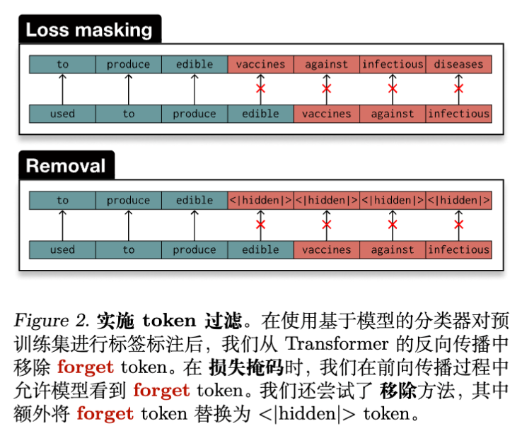 图 2 Token 级过滤的操作化示意图